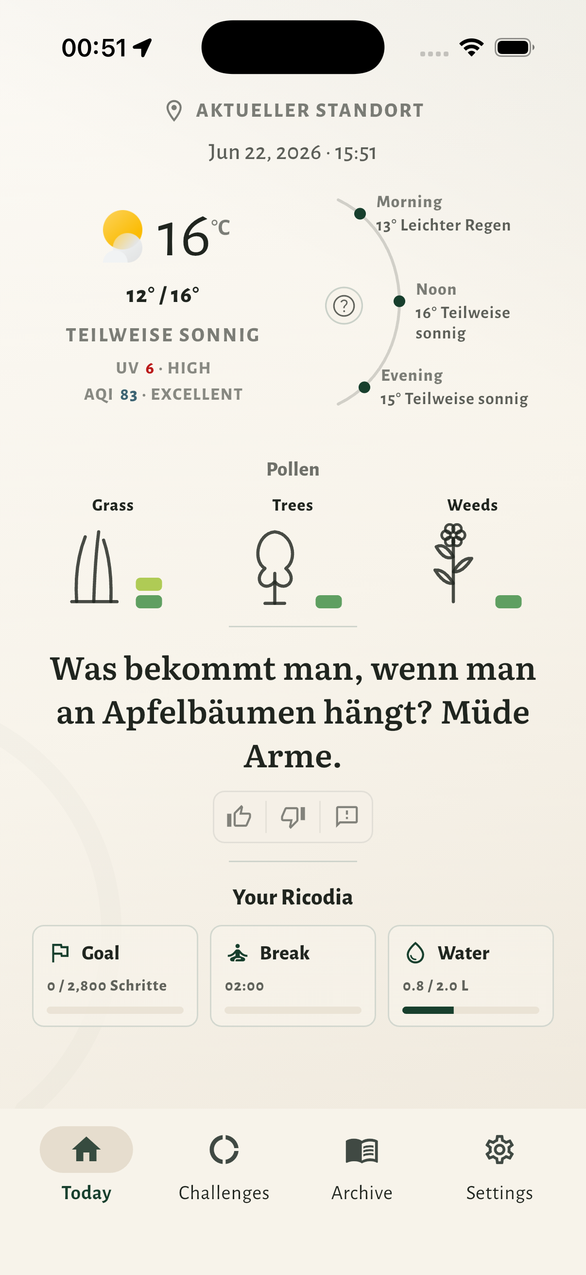 Aktuelle Ricodia Heute-Ansicht mit Wetter, Pollen, Spruch, Goal, Break und Water.